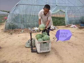 汝南吃瓜视频,揭秘当地特色美食与风土人情  第2张